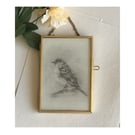 framed graphite drawing of a small sparrow