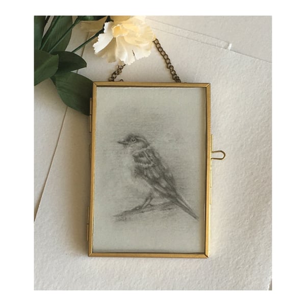 framed graphite drawing of a small sparrow