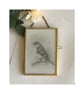 framed graphite drawing of a small sparrow