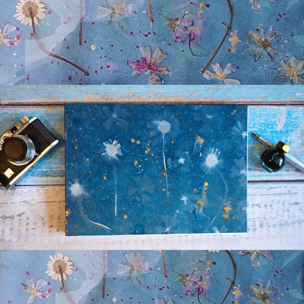 Wiltshire Wildflowers with Splashes of Gold, A4 Photograph Album (Folksy015)