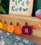 Felt Autumn Pumpkin Garland with Wool Felt Balls - Autumn Colours Gourd Bunting 