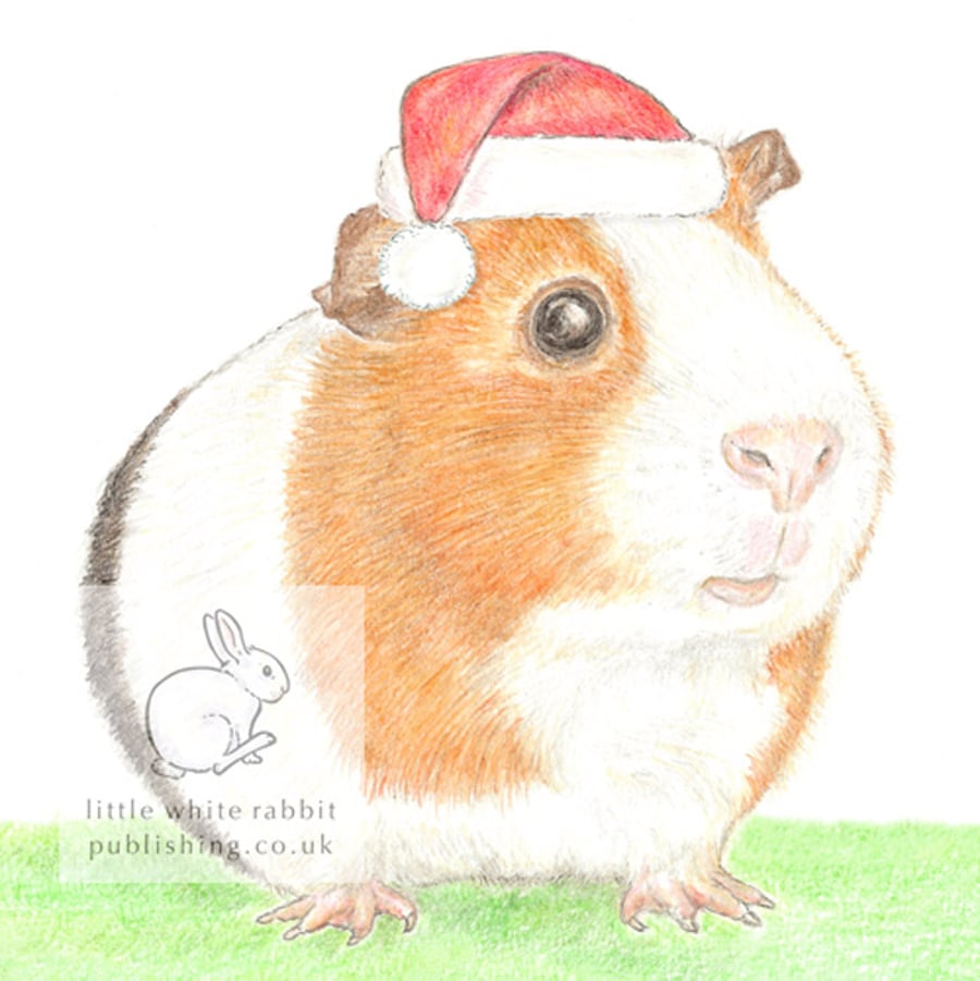 Gilbert the Guinea Pig - Christmas Hat Card