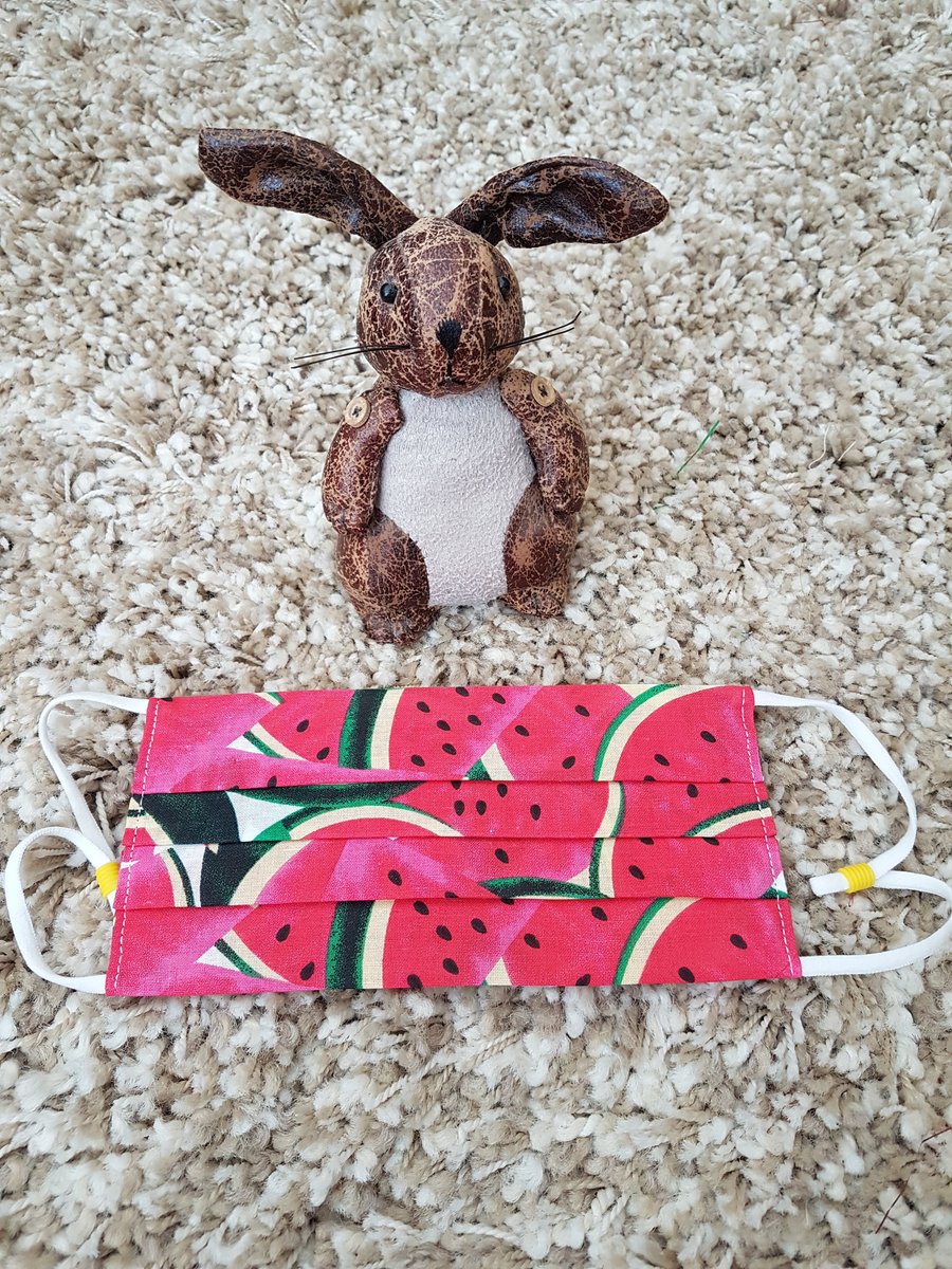 Adult face covering – Watermelon print