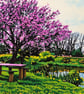 Cherry Tree Well Creek Norfolk Art Greeting Card A5 - Image 1