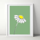 Daisy Green A4 Art Print