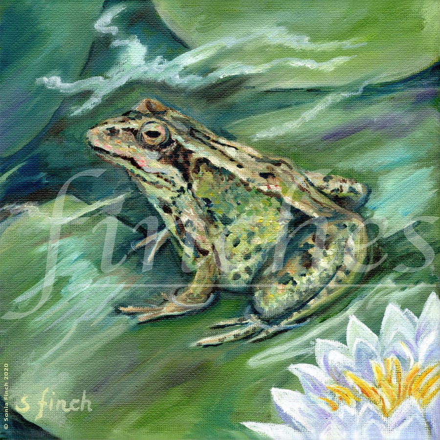 Spirit of Frog - Limited Edition Giclée Print