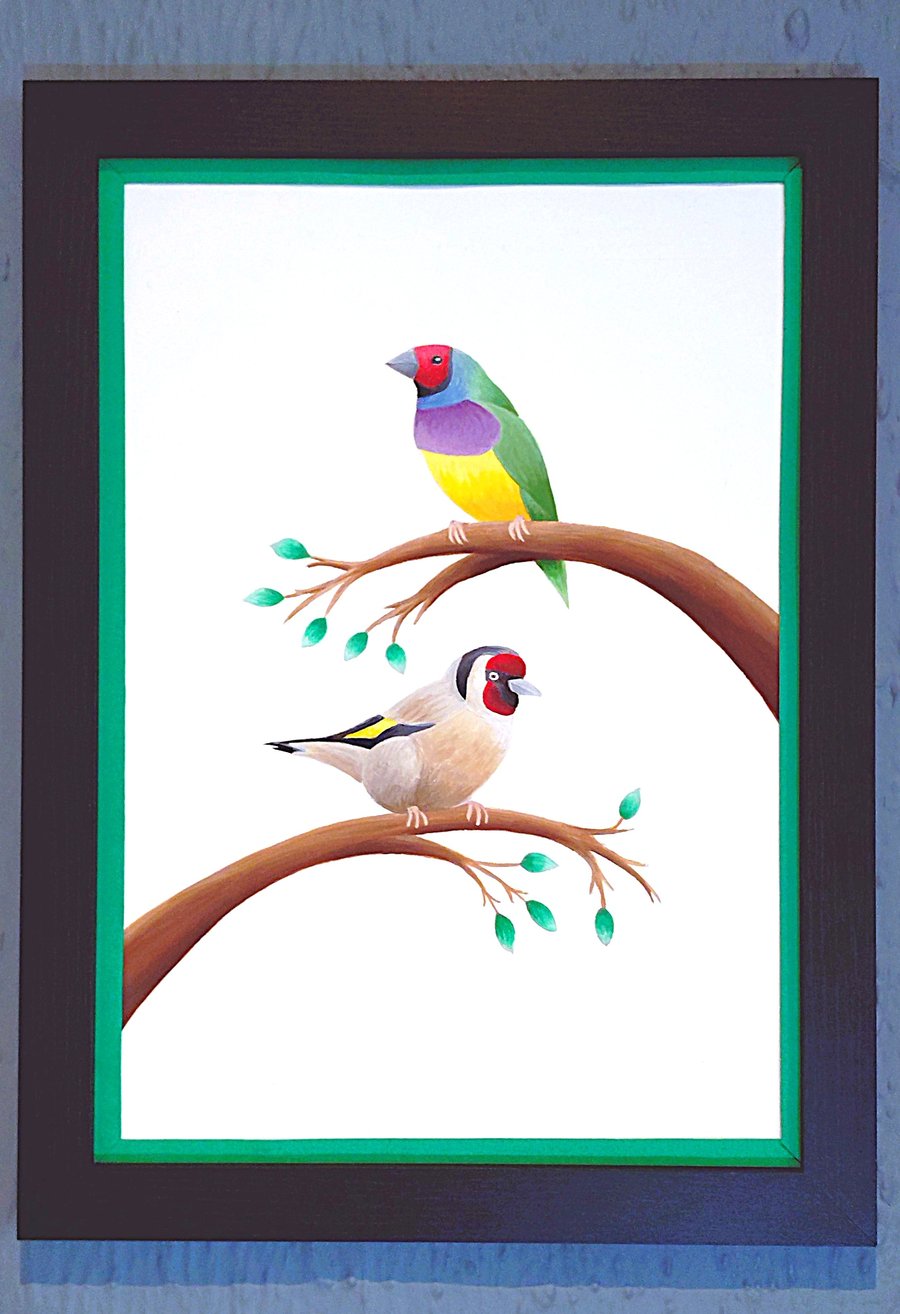 Made in UK Framed A3 Print Colourful Gouldian GoldFinch Green Border Wallart