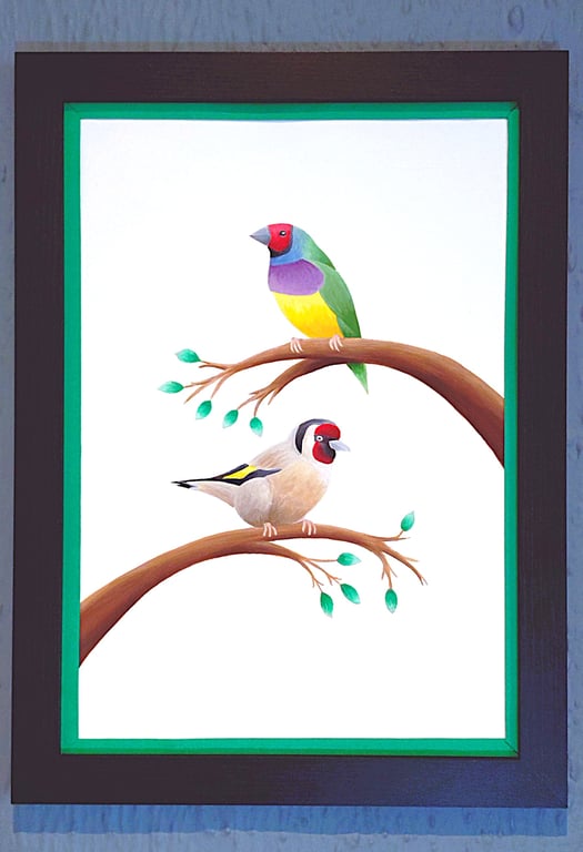 Made in UK Framed A3 Print Colourful Gouldian GoldFinch Green Border Wallart