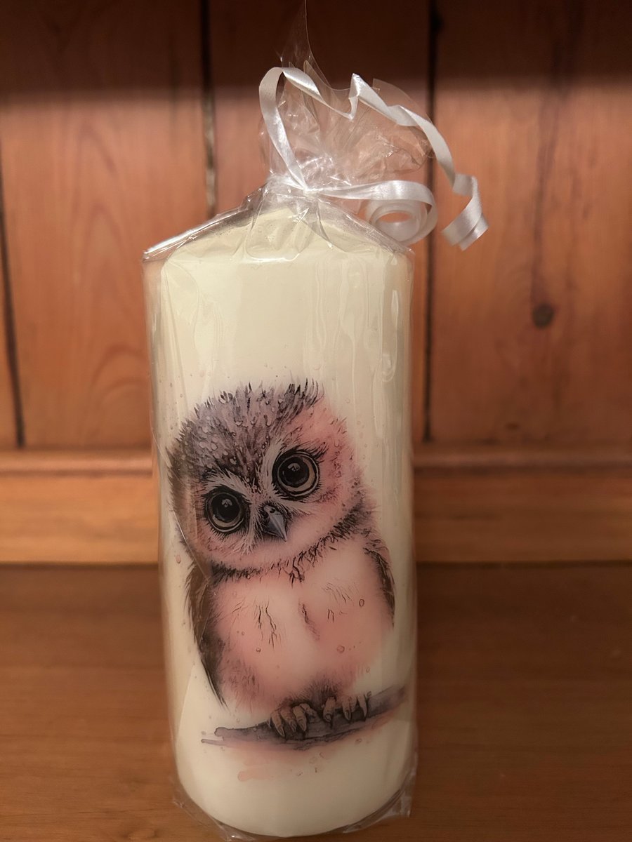 Handmade decoupage Owl pillar candle
