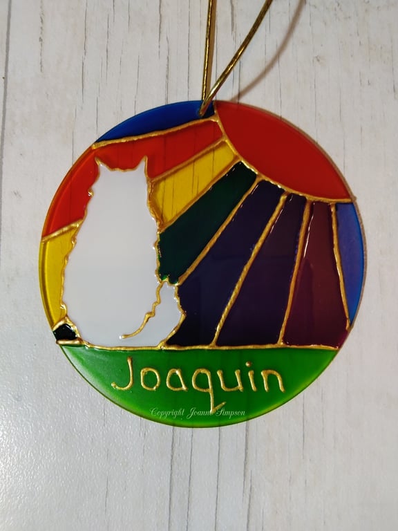 Pet memorial Maine Coon Rainbow sunshine sun catcher decoration