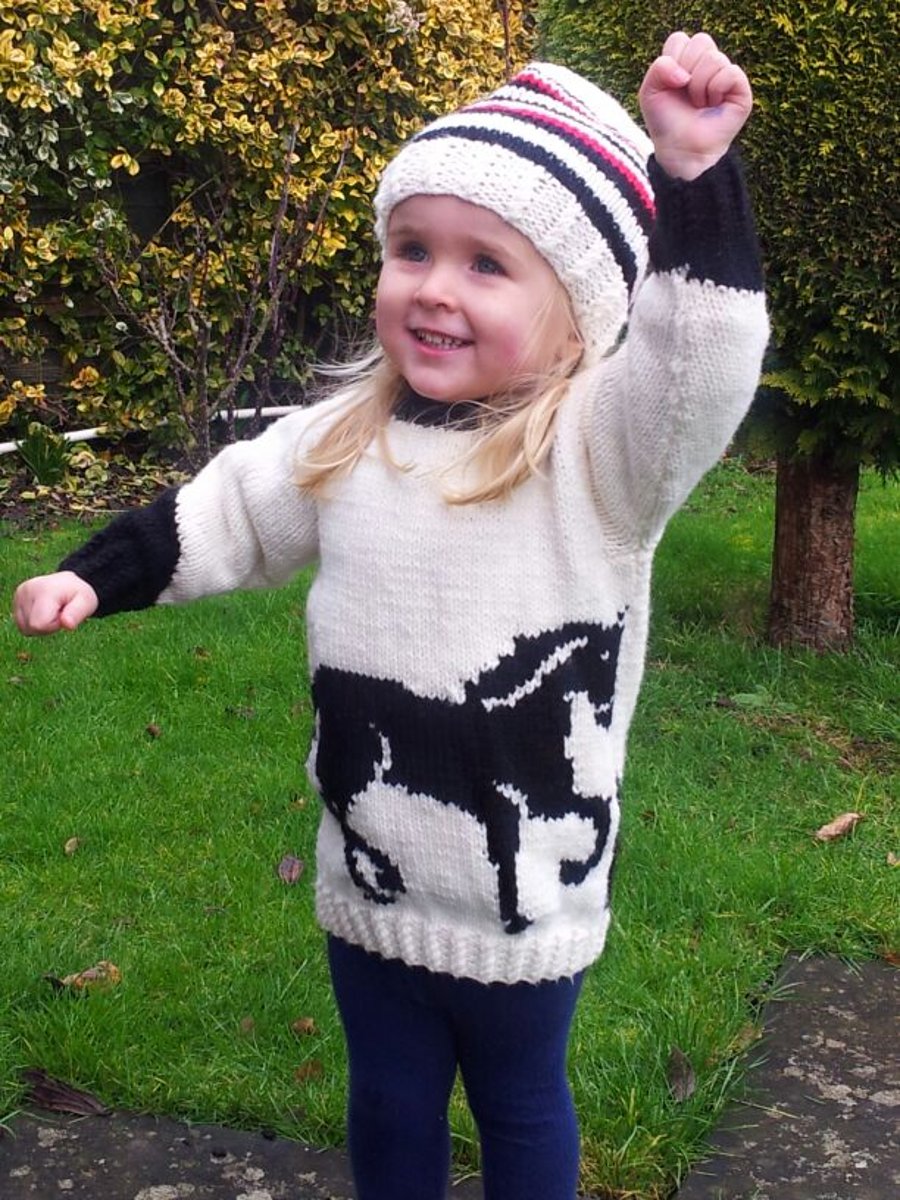 Horse Sweater and Hat Knitting Pattern.  Digital Pattern