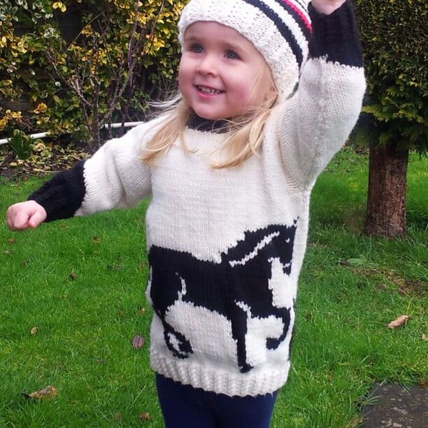 Horse Sweater and Hat Knitting Pattern.  Digital Pattern