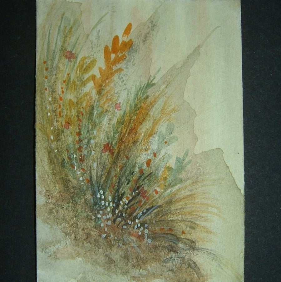meadow grasses aceo art painting original ref 95