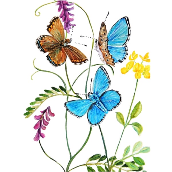  Framed Butterfly and Wild Flower Watercolour Original Painting