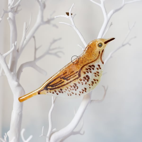 Song Thrush Garden Bird - Fused Glass Hanging - Sun Catcher Decoration