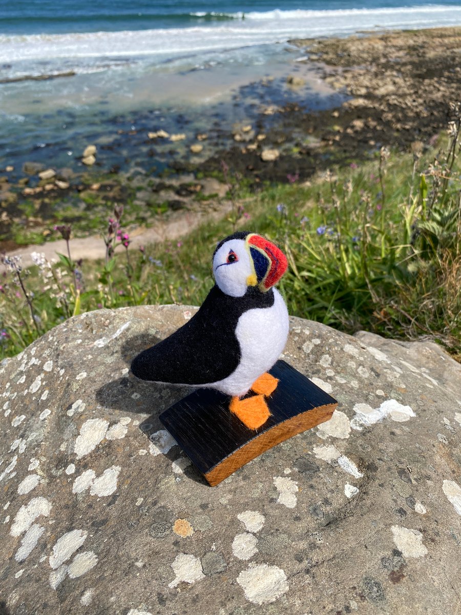 Percival - Standing Puffin