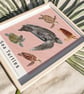 Sea Turtles Illustrated Scientific Art Print Pink - Image 2