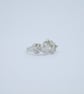 The Blackberry Ring  - Image 4