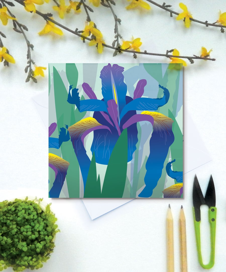 Blue Flag Iris Card - birthday, spring, Mothers Day