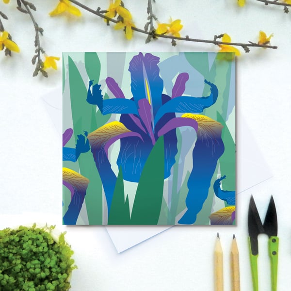 Blue Flag Iris Card - birthday, spring, Mothers Day