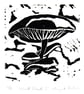 Velvet Shank 1 original linocut - Image 1
