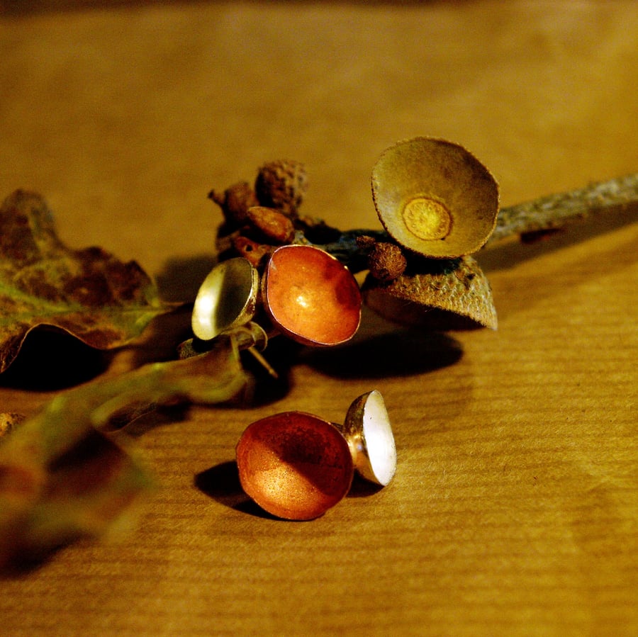 Slver and Copper Acorn Studs