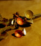 Slver and Copper Acorn Studs - Image 1