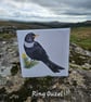 Dartmoor Summer Bird Card - Pack of 4 - Image 5