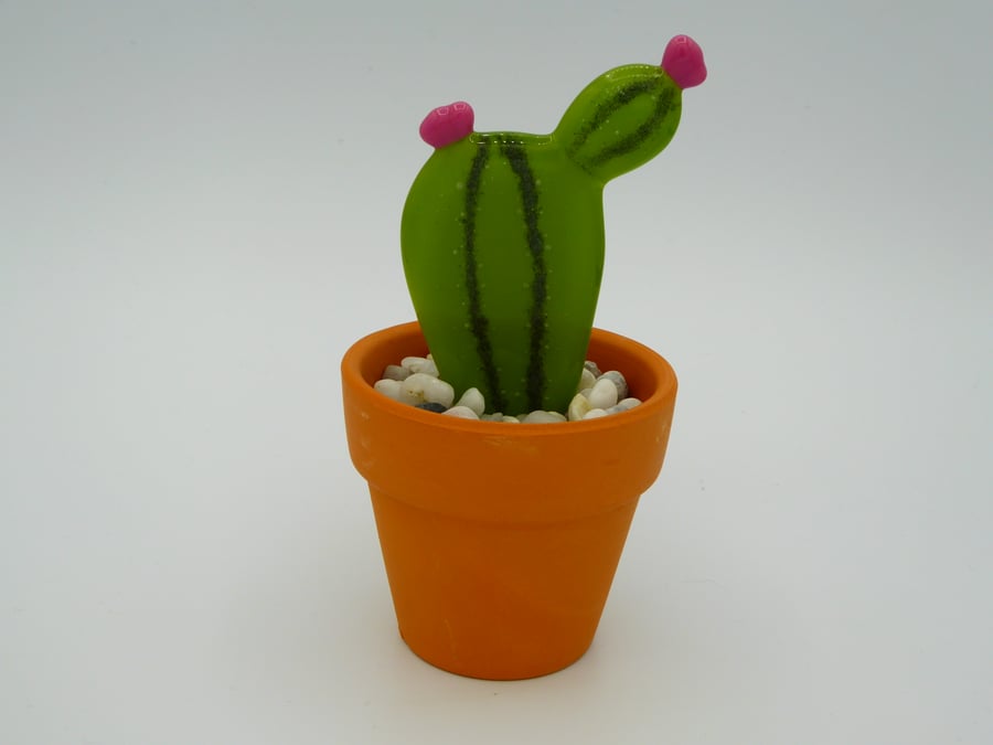 Fused Glass Succulent - Pink