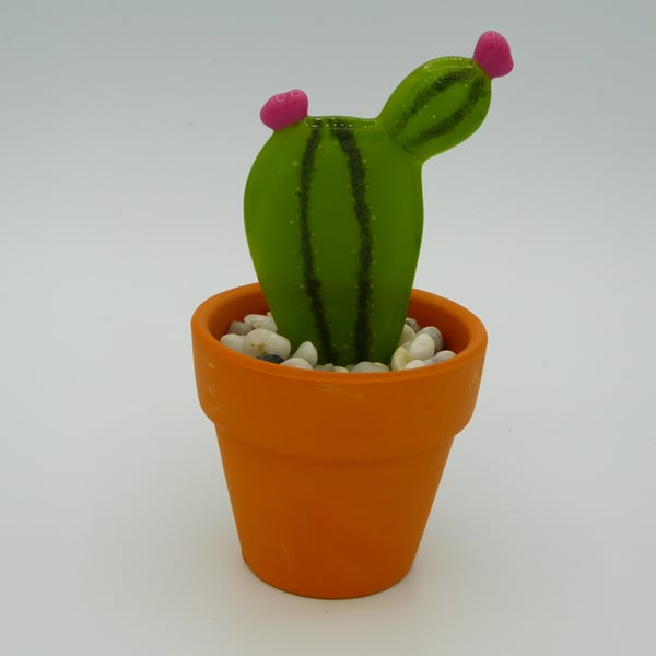 Fused Glass Succulent - Pink