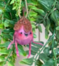 Five Spun Cotton Beech Nut Friends - Image 5