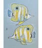 Copper-Banded Butterfly Fish - Original drawing , fish artwork - Image 2