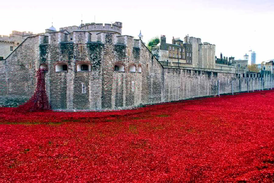 Tower of London Red Poppies England UK Photograph Print