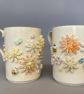 Nature Inspired mugs