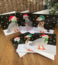 Christmas Bird Cards – Pack of 6 Festive Seagull, Puffin & Pigeon Printed Cards