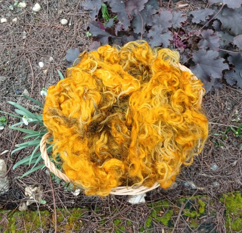 Yellow Ochre Gotland Fleece 50g