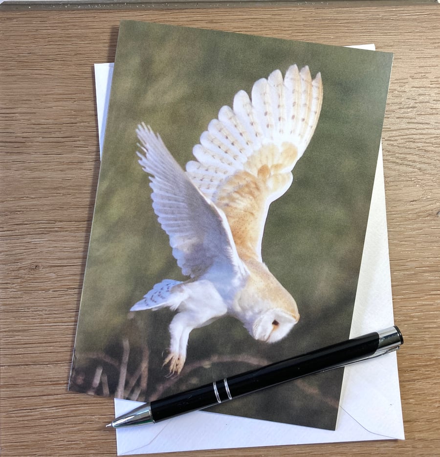 Card Barn Owl Landing