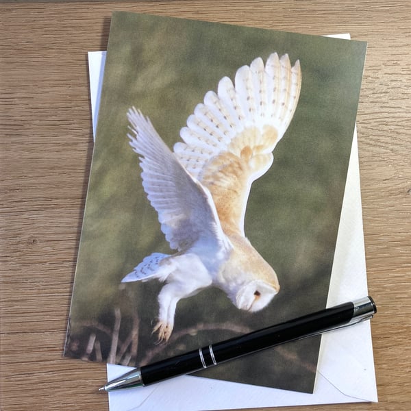 Card Barn Owl Landing