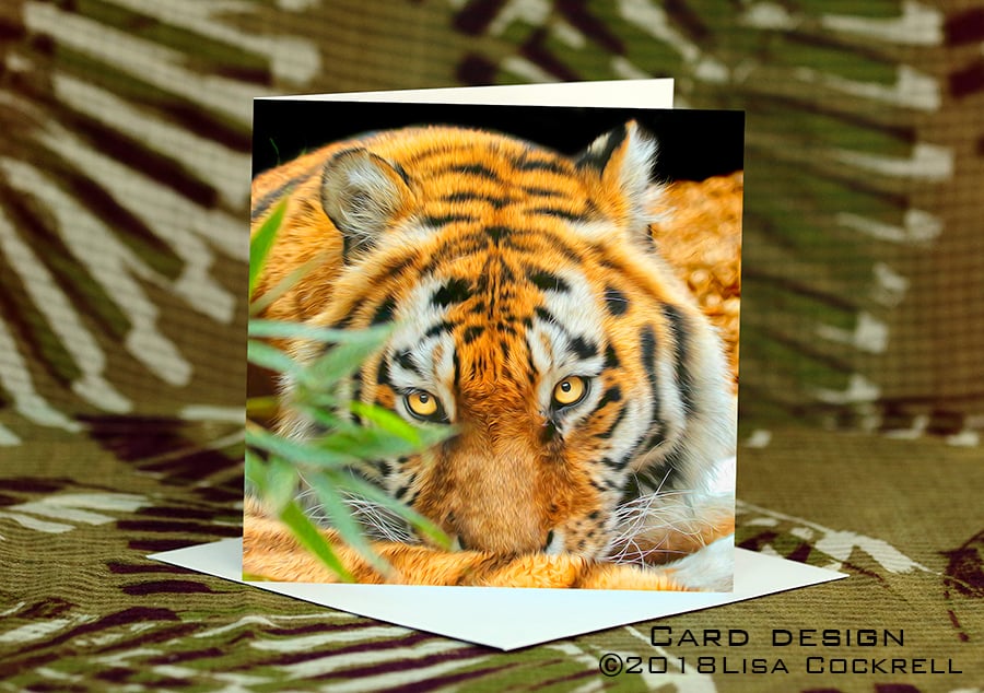Exclusive Handmade Tiger Tiger Greetings Card on Archive Photo Paper