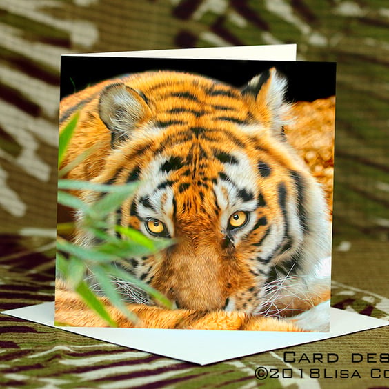 Exclusive Handmade Tiger Tiger Greetings Card on Archive Photo Paper
