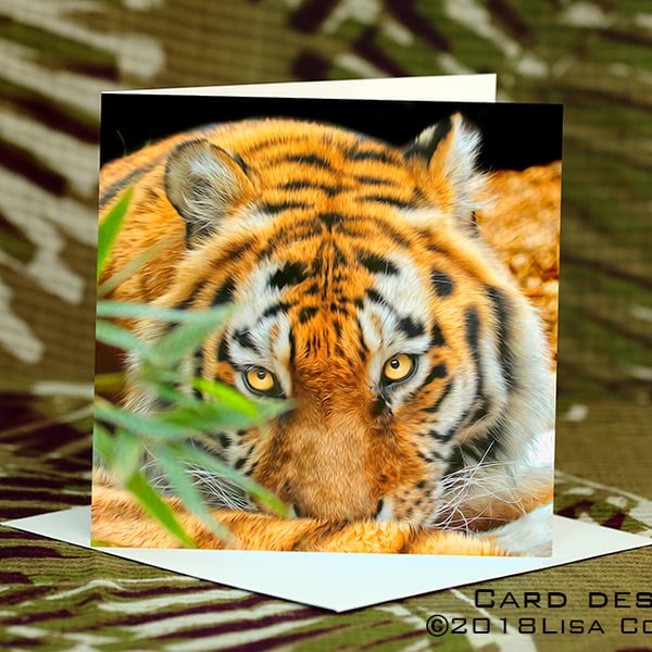 Exclusive Handmade Tiger Tiger Greetings Card on Archive Photo Paper