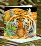 Exclusive Handmade Tiger Tiger Greetings Card on Archive Photo Paper