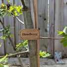 Personalised Wooden Plant Label – Natural Oak Finish, Weather-Resistant