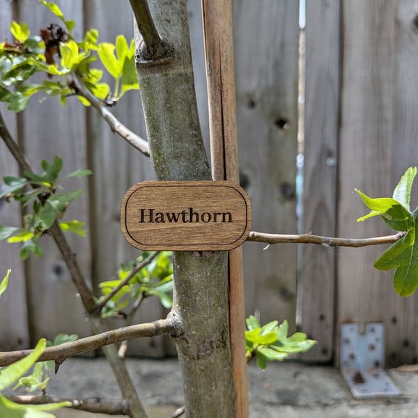 Personalised Wooden Plant Label – Natural Oak Finish, Weather-Resistant