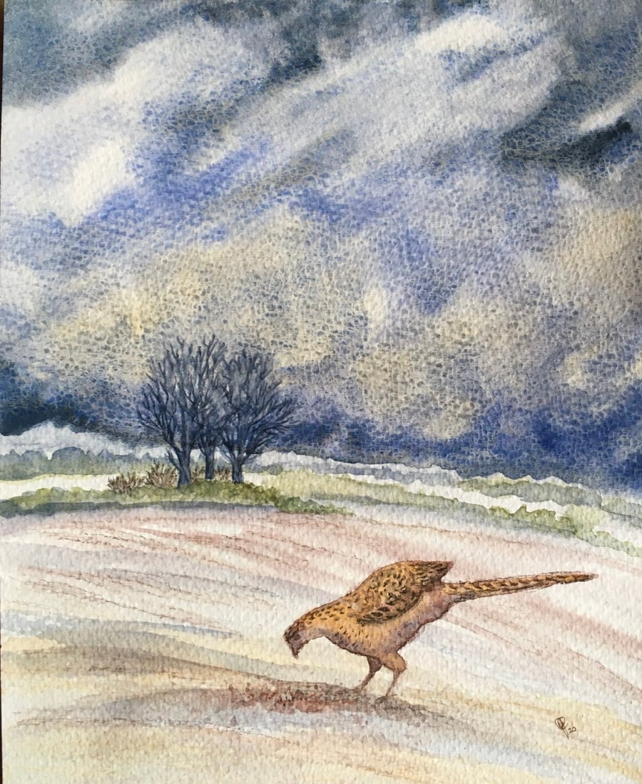 Lady Pheasant watercolour painting 