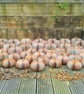 Large Pumpkin Book Gift - Handmade Halloween Decoration - Image 5