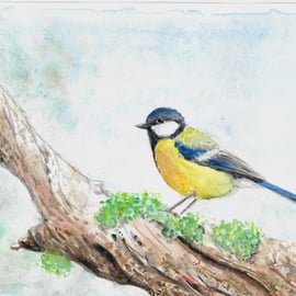 Bluetit Garden Bird on a branch, original painting