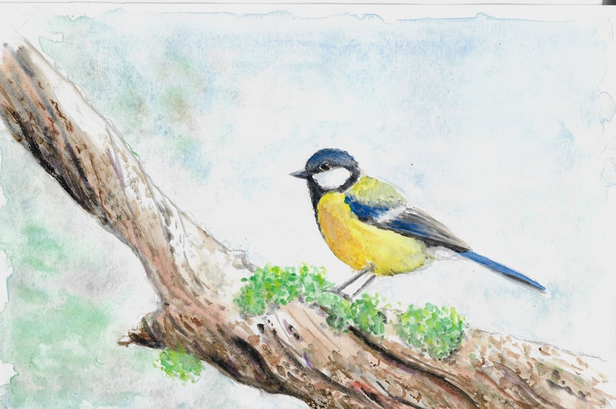 Bluetit Garden Bird on a branch, original painting