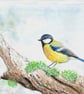 Bluetit Garden Bird on a branch, original painting