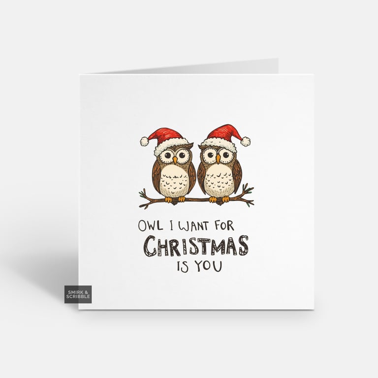 Unique Funny Christmas Card - Cute Xmas Greeting - Owl 